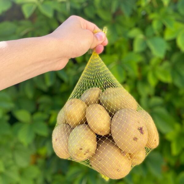 Batata Agria