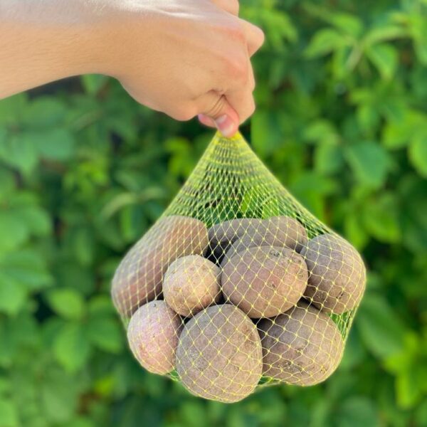 Batata Vermelha