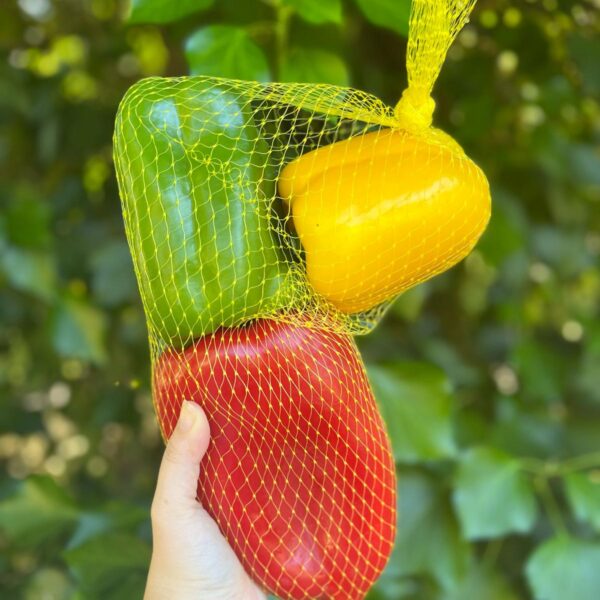 Pack de Pimentos - Tricolor
