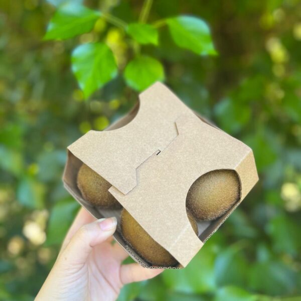 Pack de Kiwi Verde