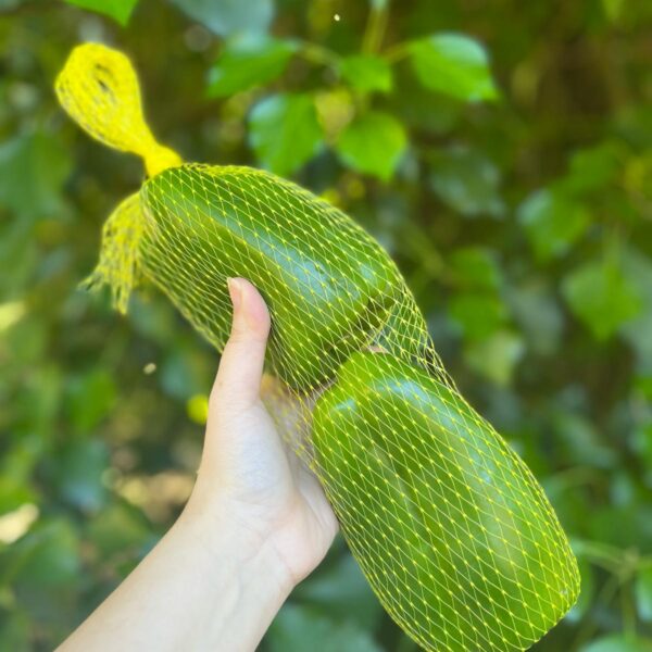 Pack de Pimento Verde