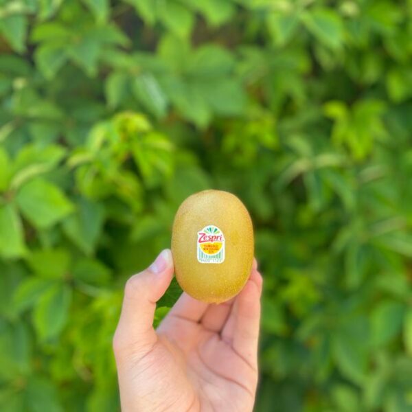 Kiwi Gold