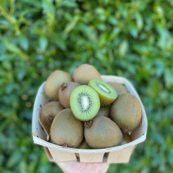 Kiwi Verde