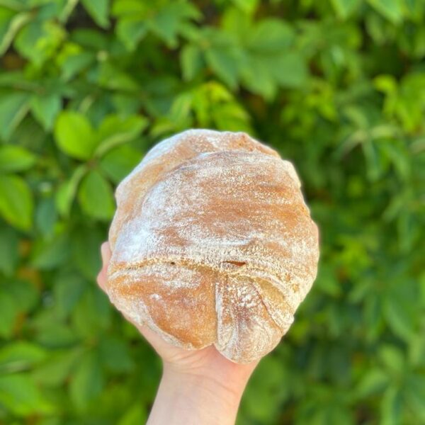 Pão de Trigo Artesanal