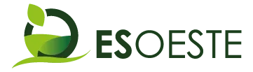ESOESTE logotipo